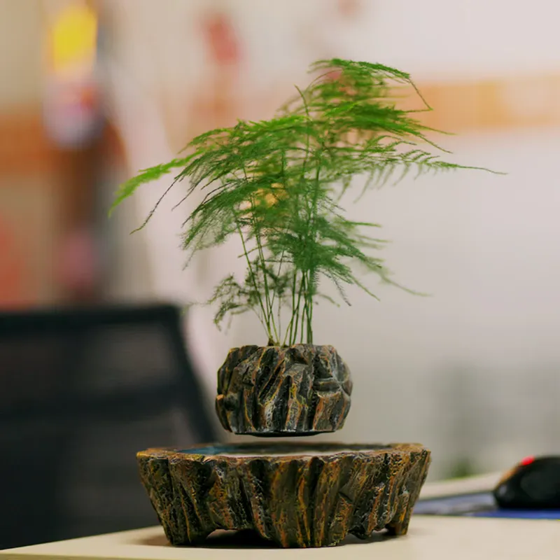 Bonsai Vertical Garden - HCNT Elektrische Magnetische Levitation Schwebende Harz-Bonsai