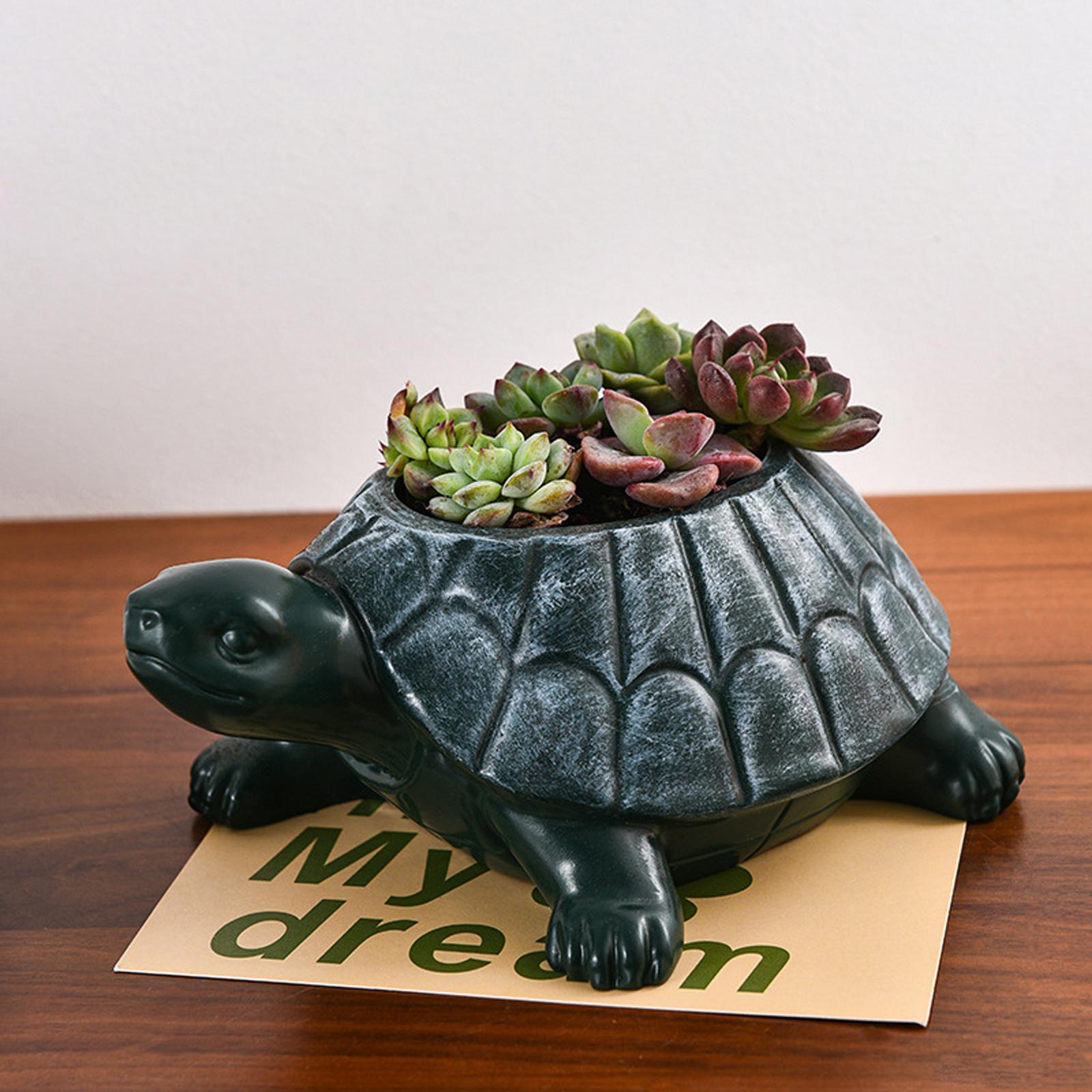 Bonsai Garden And Cafe - Schildkröten-Blumentopf Sammlerstück Dekorativer Schreibtisch-Schmuck Kunst-Bonsai-Topf Tier-Gartentopf