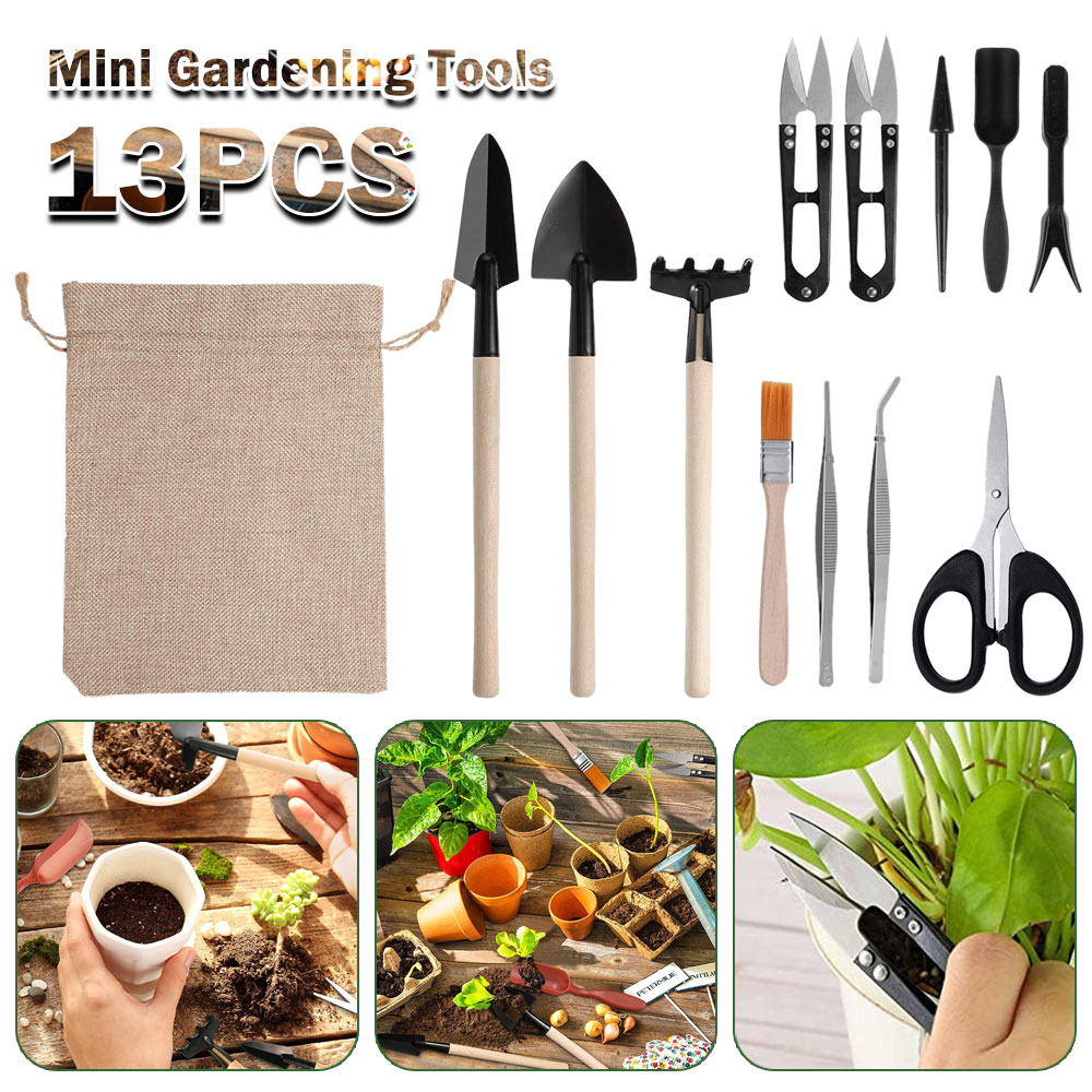 Bonsai Garden Mini - Sukkulenten Werkzeuge Mini Garten Handwerkzeuge Umpflanzen