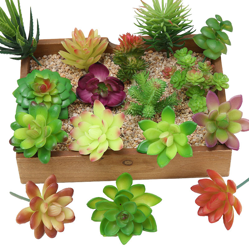 2021 künstliche Sukkulenten Pf – Bonsai Garden Mini Bewertung und Preis