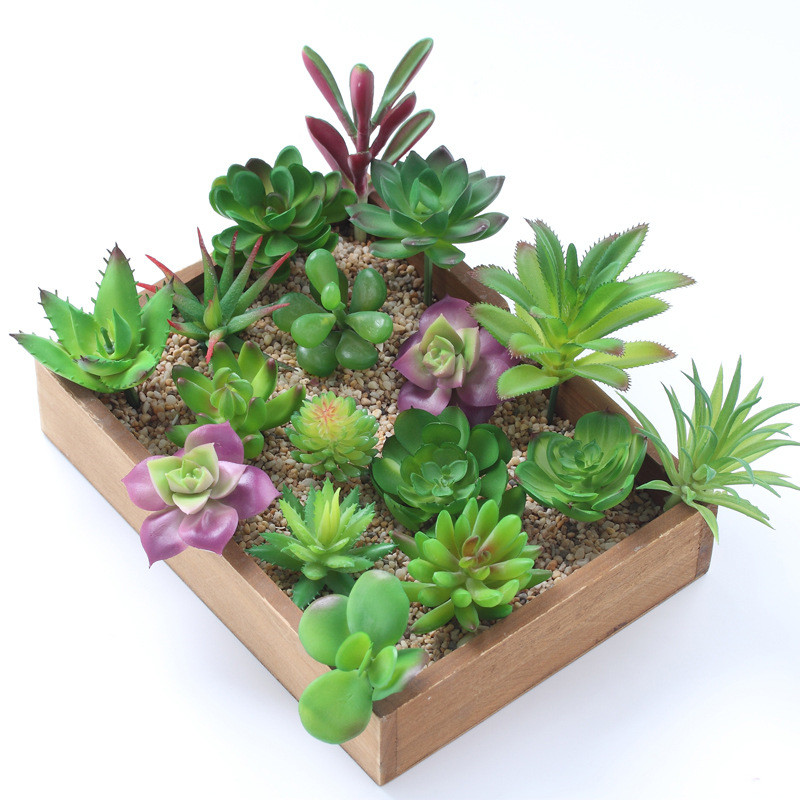 2021 künstliche Sukkulenten Pf – Bonsai Garden Mini Bewertung und Preis