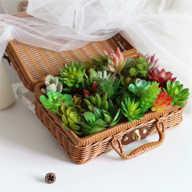 2021 künstliche Sukkulenten Pf – Bonsai Garden Mini Bewertung und Preis