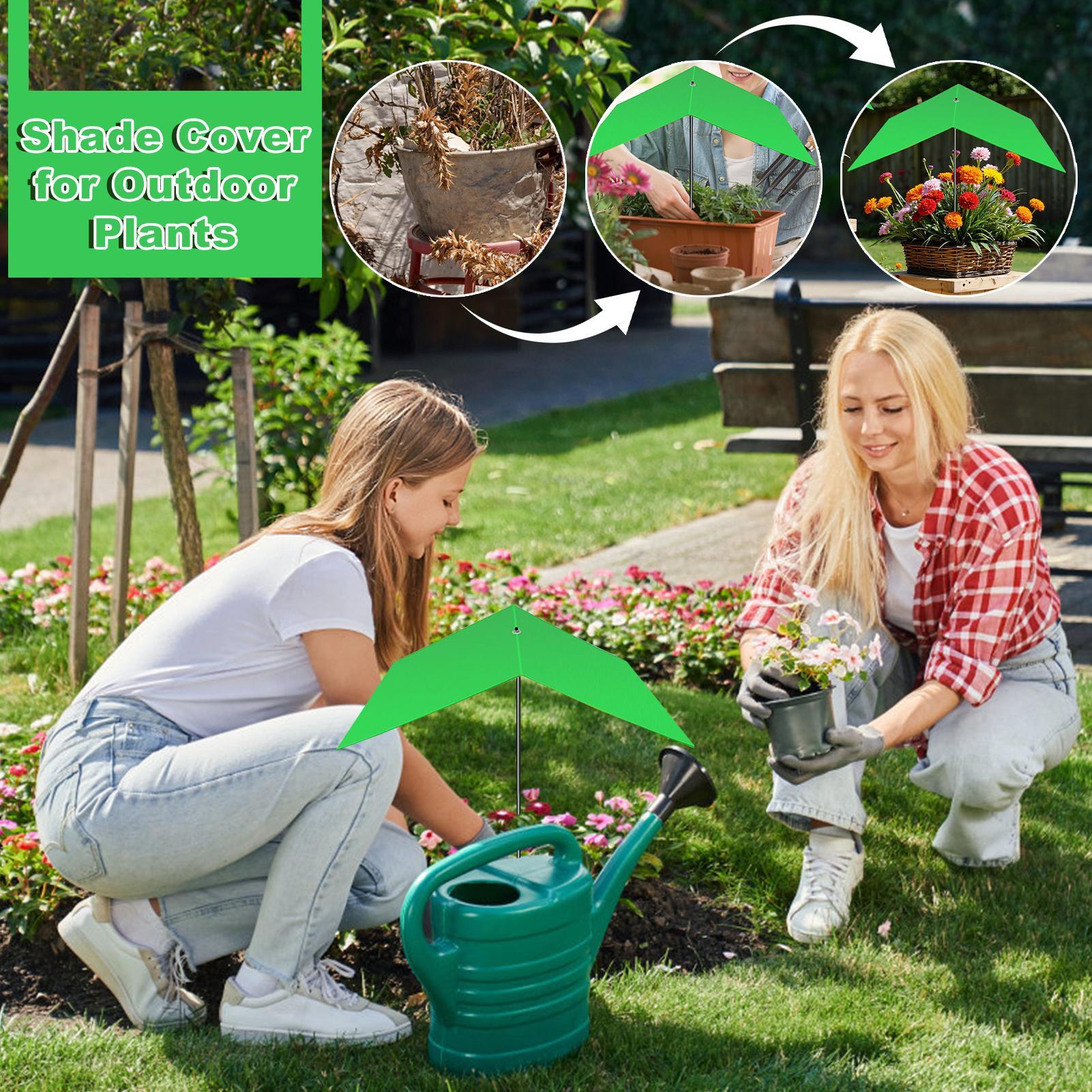 Pflanzenschirm, Anti-UV-Hitzes – Bonsai Garden And Cafe Bewertung und Preis
