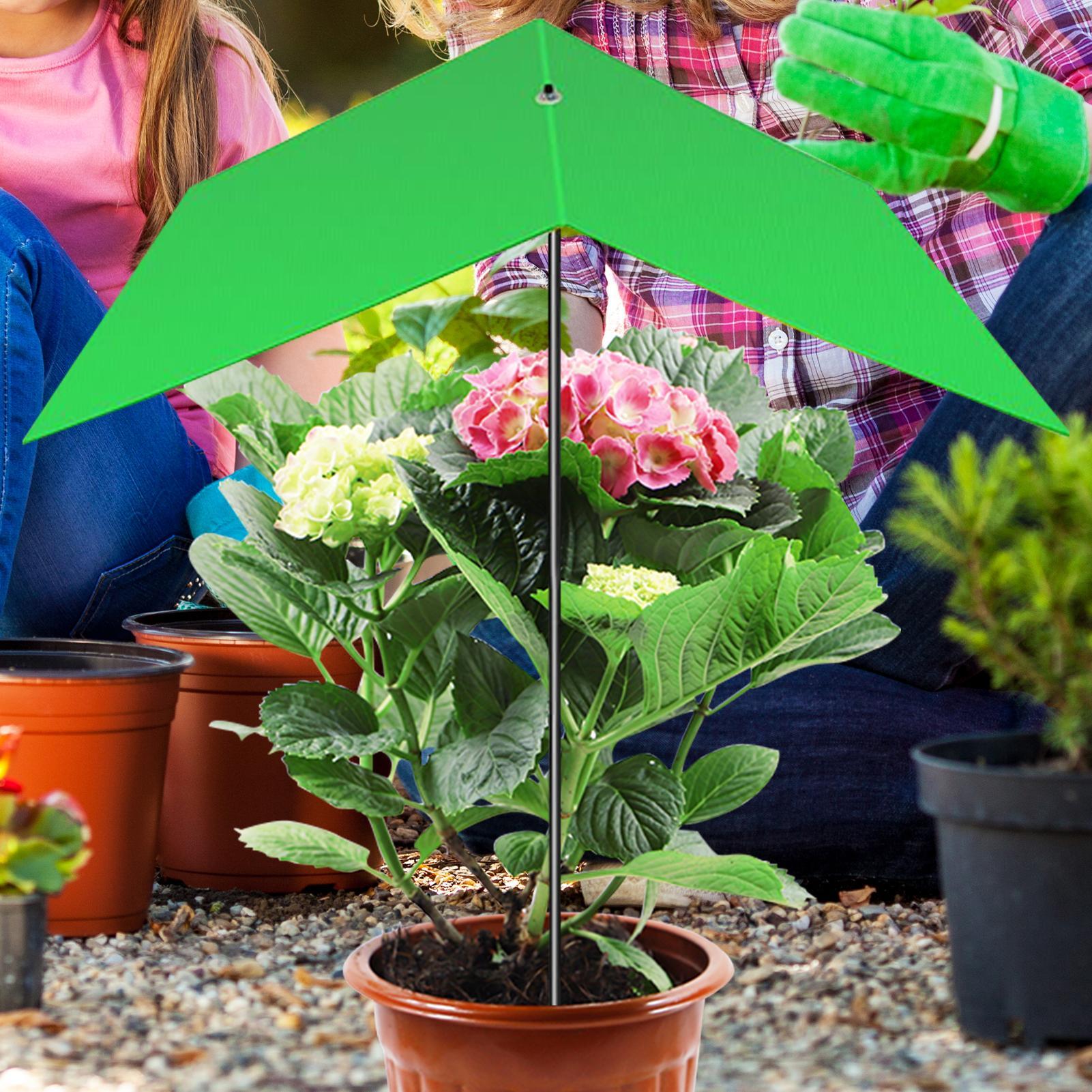 Pflanzenschirm, Anti-UV-Hitzes – Bonsai Garden And Cafe Bewertung und Preis