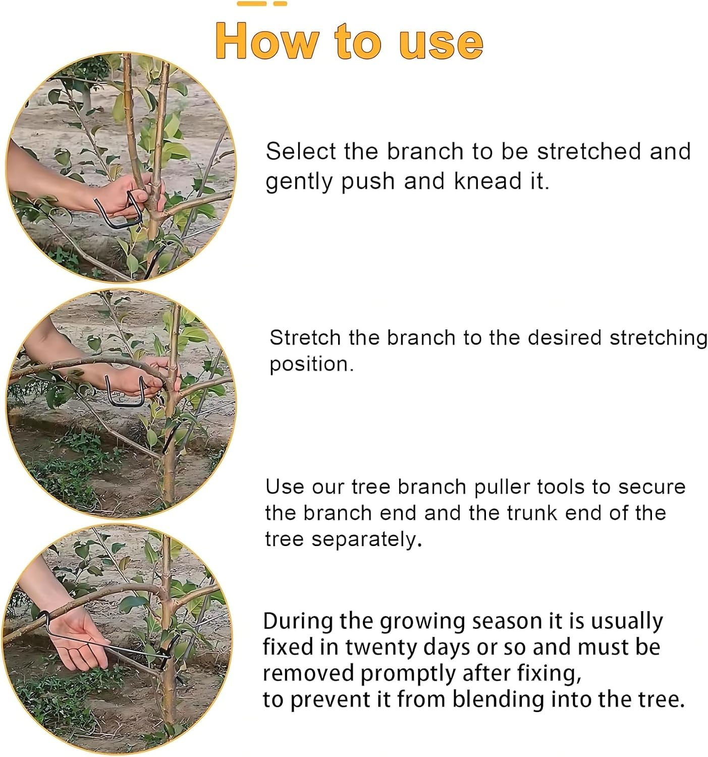 Verstellbarer Obstbaum-Astform – Us Bonsai Garden Bewertung und Preis