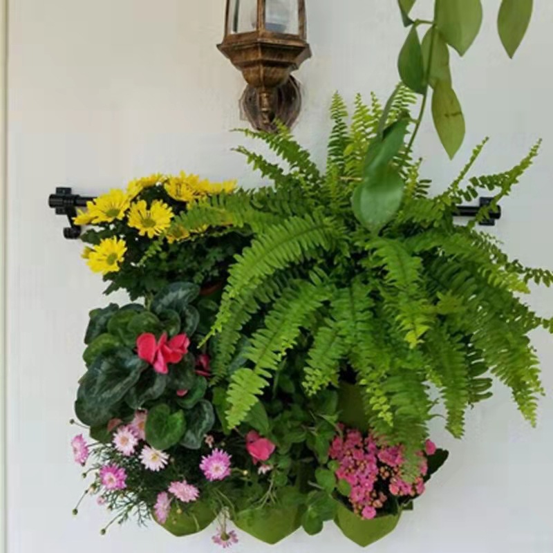 Wandbehang Pflanztasche Mehrer – Bonsai Vertical Garden Bewertung und Preis