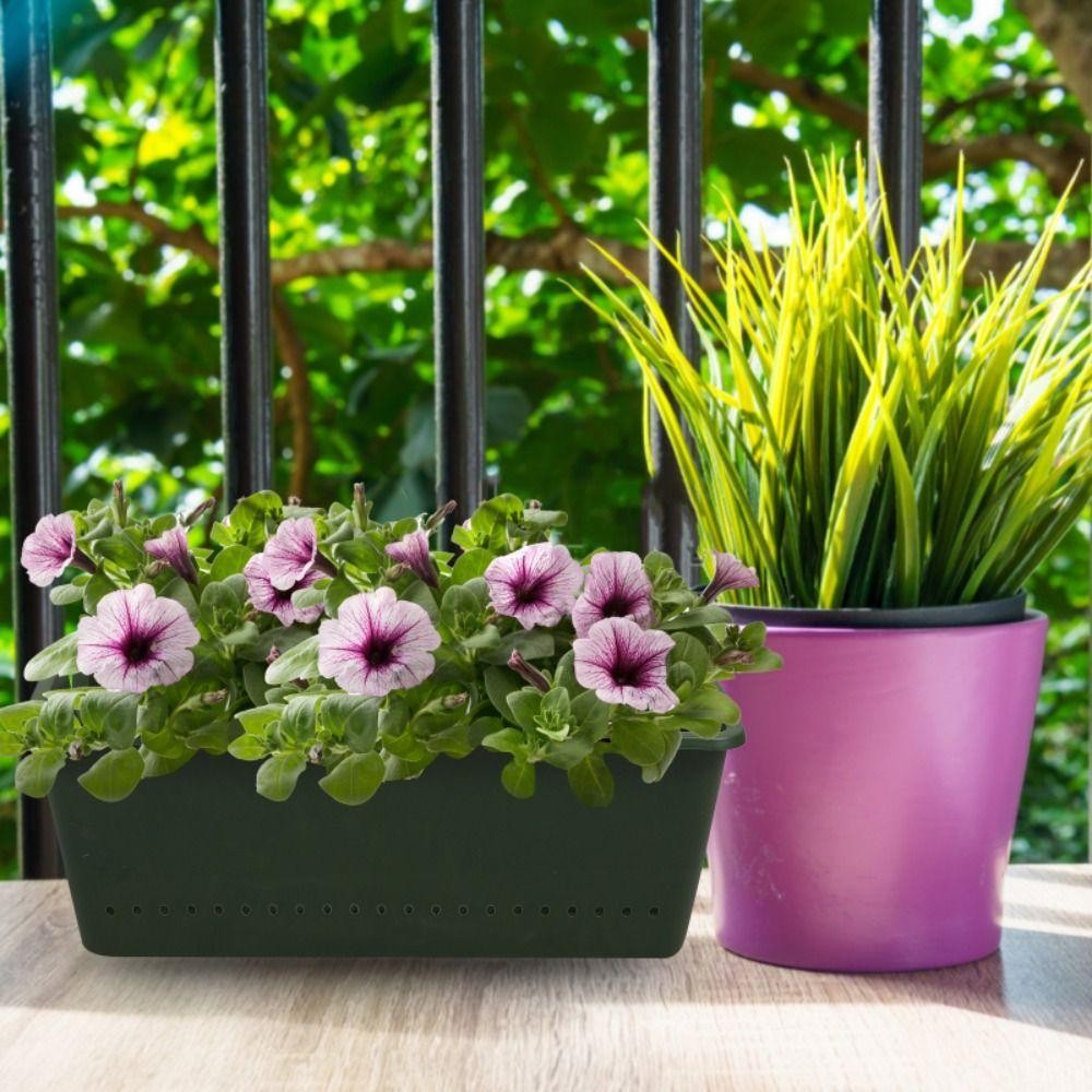 1/3 Stück Pflanzbox, Hängender – Bonsai Vertical Garden Bewertung und Preis