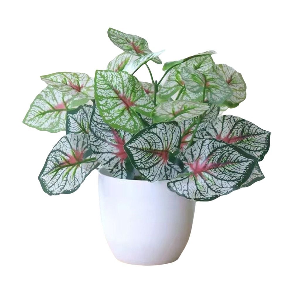 Mini Künstliche Topfpflanzen B – Bonsai Garden Mini Bewertung und Preis