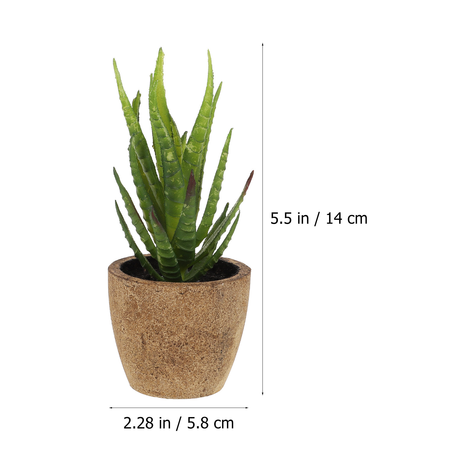 4 Stück Simulierte Sukkulenten – Bonsai Garden And Cafe Bewertung und Preis