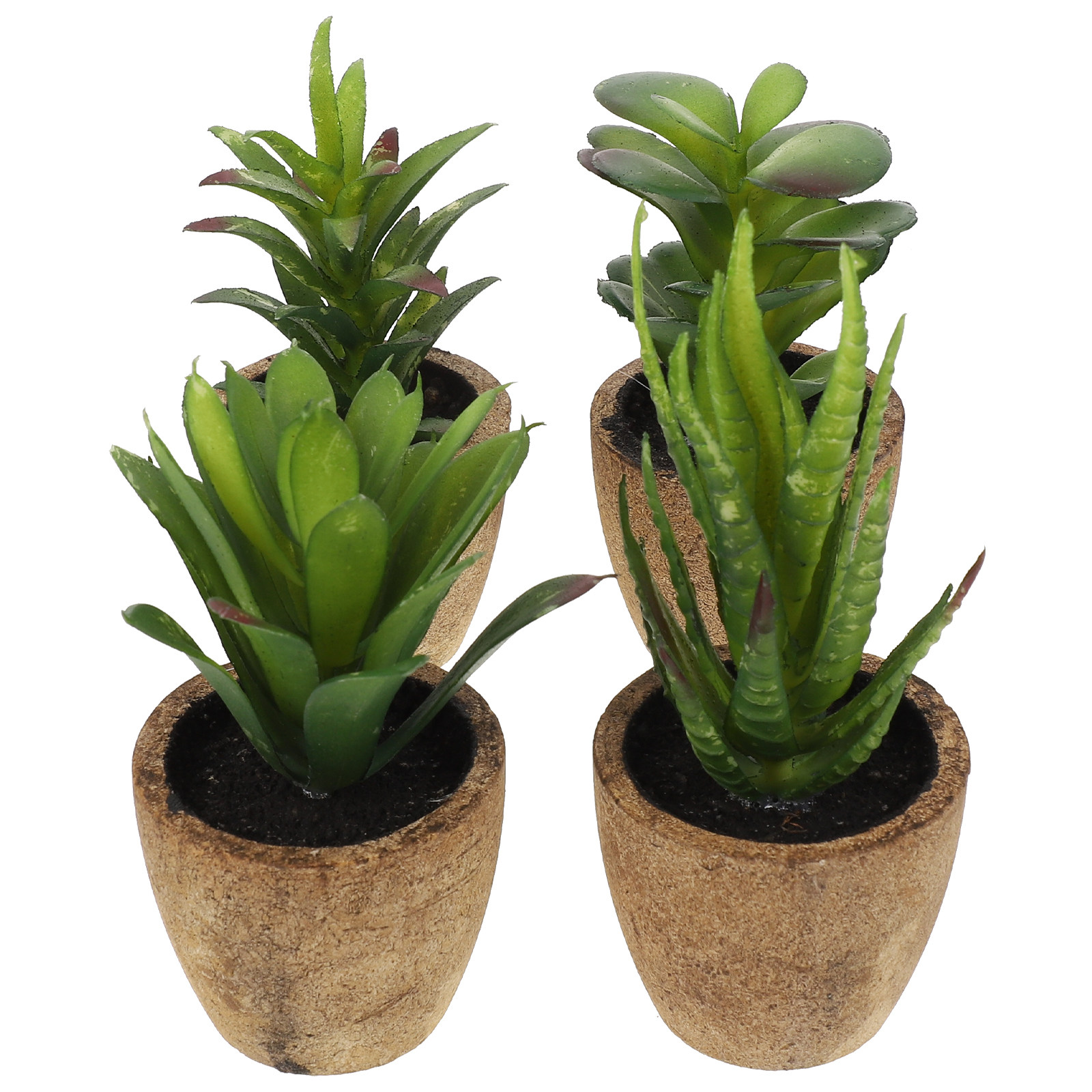4 Stück Simulierte Sukkulenten – Bonsai Garden And Cafe Bewertung und Preis