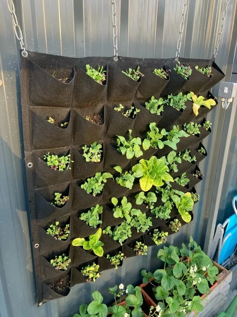 Hängender Pflanzbeutel mit meh – Bonsai Vertical Garden Bewertung und Preis
