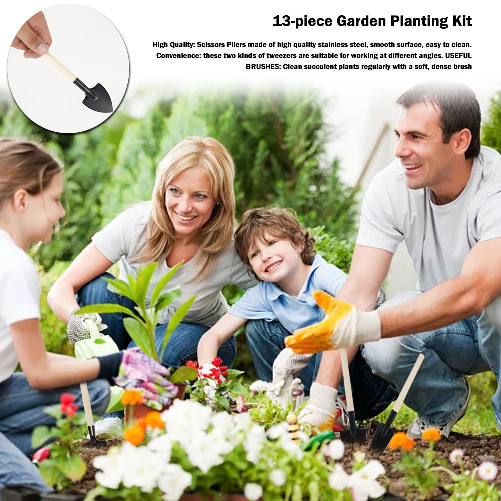 Sukkulenten Werkzeuge Mini Gar – Bonsai Garden Mini Bewertung und Preis