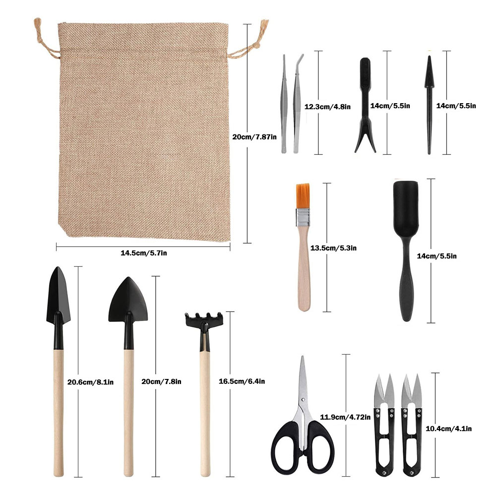 Sukkulenten Werkzeuge Mini Gar – Bonsai Garden Mini Bewertung und Preis