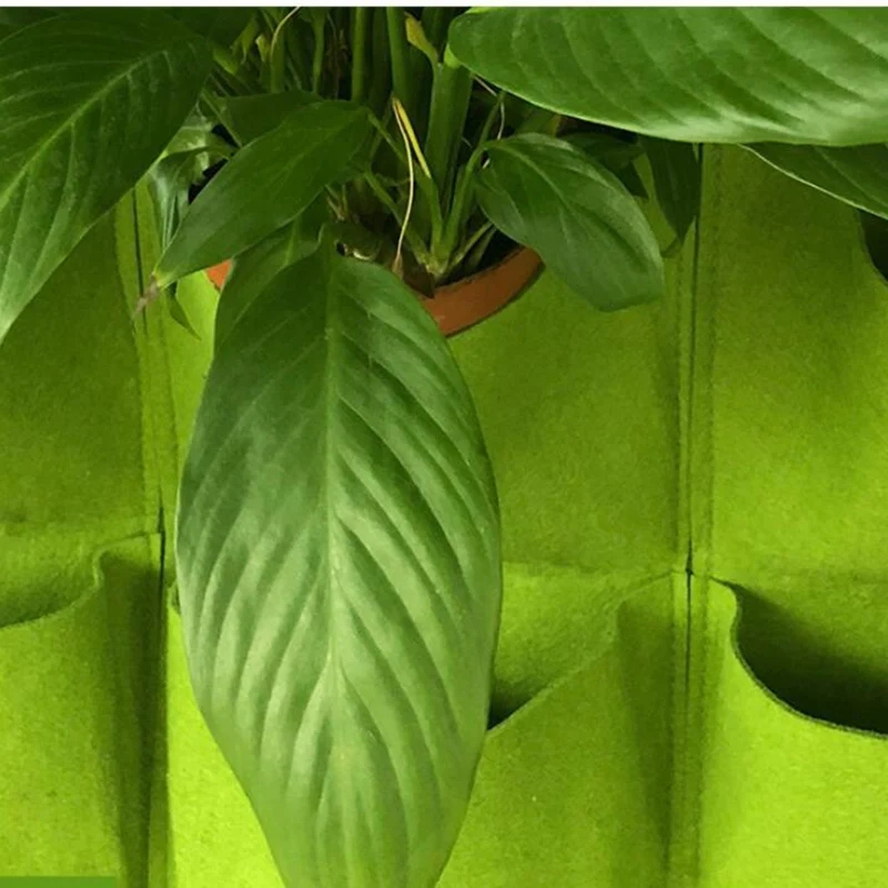 Wandbehang Pflanztasche Mehrer – Bonsai Vertical Garden Bewertung und Preis