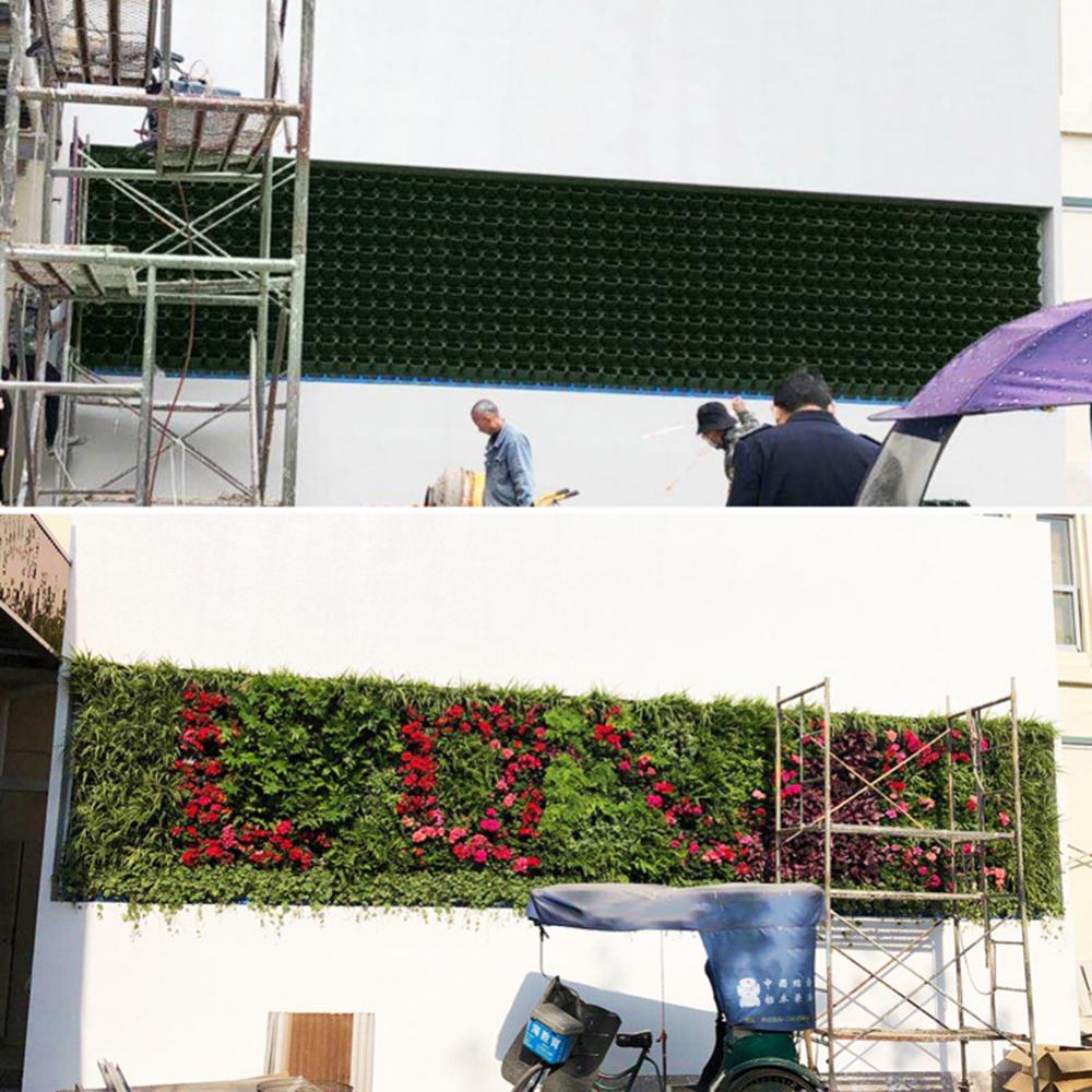 An der Wand montierte Waldbox  – Bonsai Vertical Garden Bewertung und Preis