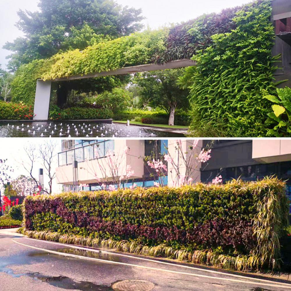 An der Wand montierte Waldbox  – Bonsai Vertical Garden Bewertung und Preis