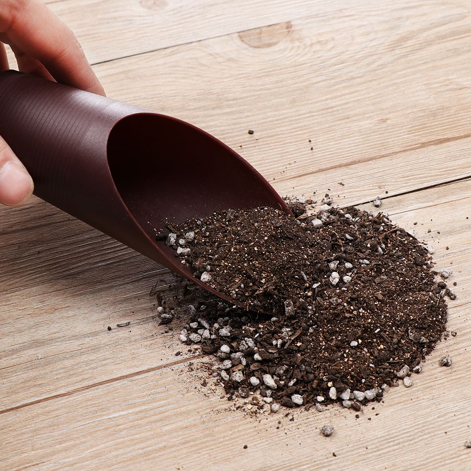 1PC Kunststoff Boden Schaufel  – Bonsai Garden Mini Bewertung und Preis